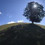 La Vecchia Stalla