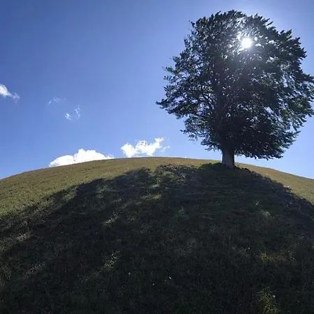 La Vecchia Stalla